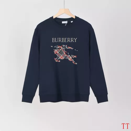 Burberry Hoodies Long Sleeved For Men #1350174
