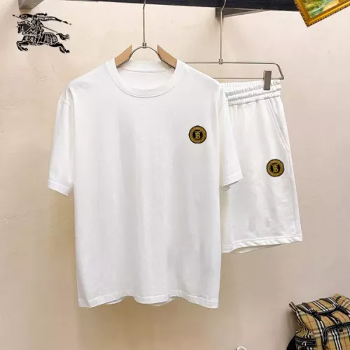 Burberry Tracksuits Short Sleeved For Men #1350503