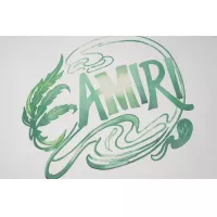 Cheap Amiri T-Shirts Short Sleeved For Unisex #1343187 Replica Wholesale [$32.00 USD] [ITEM#1343187] on Replica Amiri T-Shirts