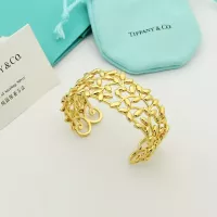 Cheap Tiffany Bracelets #1344294 Replica Wholesale [$34.00 USD] [ITEM#1344294] on Replica Tiffany Bracelets