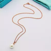 Cheap Tiffany Necklaces For Women #1345324 Replica Wholesale [$25.00 USD] [ITEM#1345324] on Replica Tiffany Necklaces