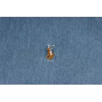 Cheap Ralph Lauren Polo Jackets Long Sleeved For Unisex #1346383 Replica Wholesale [$56.00 USD] [ITEM#1346383] on Replica Ralph Lauren Polo Jackets
