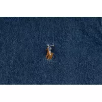 Cheap Ralph Lauren Polo Jackets Long Sleeved For Unisex #1346384 Replica Wholesale [$56.00 USD] [ITEM#1346384] on Replica Ralph Lauren Polo Jackets