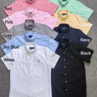 Cheap Ralph Lauren Polo Shirts Short Sleeved For Men #1346820 Replica Wholesale [$42.00 USD] [ITEM#1346820] on Replica Ralph Lauren Polo Shirts