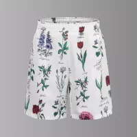 Cheap Christian Dior Pants For Unisex #1348532 Replica Wholesale [$45.00 USD] [ITEM#1348532] on Replica Christian Dior Pants