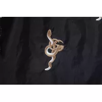 Cheap Gucci Pants For Unisex #1349271 Replica Wholesale [$48.00 USD] [ITEM#1349271] on Replica Gucci Pants