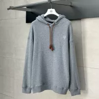 Cheap LOEWE Hoodies Long Sleeved For Unisex #1350223 Replica Wholesale [$85.00 USD] [ITEM#1350223] on Replica LOEWE Hoodies