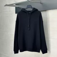 Cheap LOEWE Hoodies Long Sleeved For Unisex #1350224 Replica Wholesale [$85.00 USD] [ITEM#1350224] on Replica LOEWE Hoodies