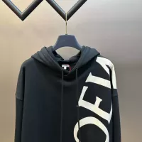 Cheap LOEWE Hoodies Long Sleeved For Unisex #1350253 Replica Wholesale [$96.00 USD] [ITEM#1350253] on Replica LOEWE Hoodies
