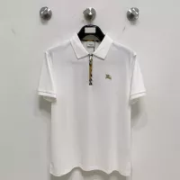 Cheap Burberry T-Shirts Short Sleeved For Men #1350668 Replica Wholesale [$76.00 USD] [ITEM#1350668] on Replica Burberry T-Shirts