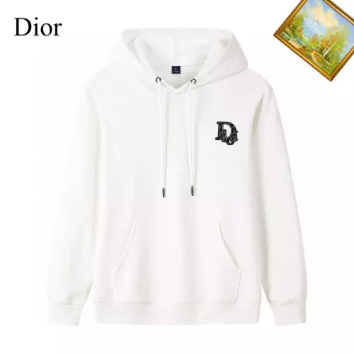 Christian Dior Hoodies Long Sleeved For Men #1353418