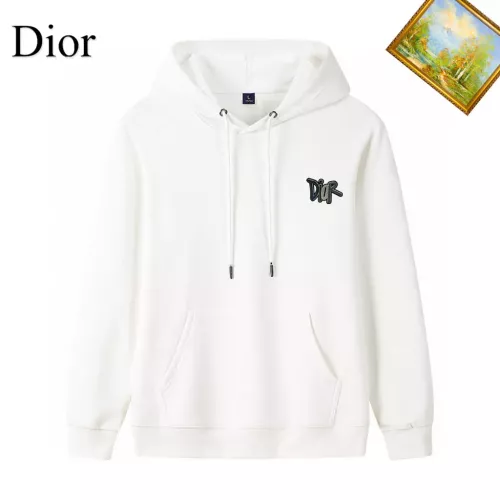 Christian Dior Hoodies Long Sleeved For Men #1353429