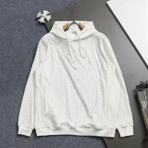 Christian Dior Hoodies Long Sleeved For Unisex #1355087