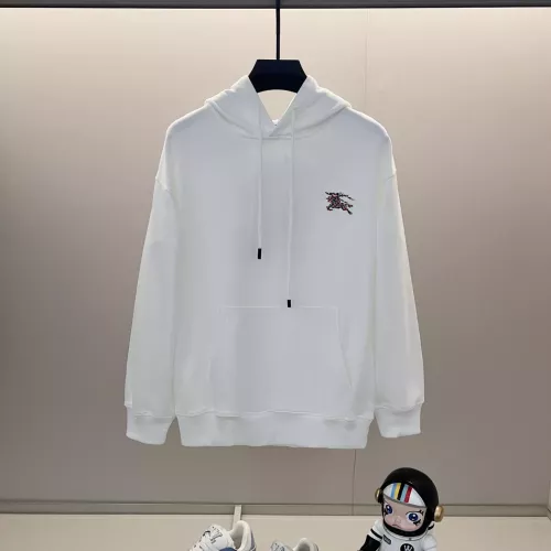 Burberry Hoodies Long Sleeved For Unisex #1359088