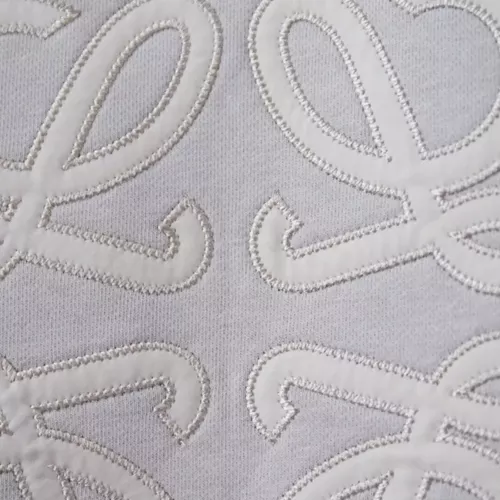 Cheap LOEWE Hoodies Long Sleeved For Unisex #1359886 Replica Wholesale [$45.00 USD] [ITEM#1359886] on Replica LOEWE Hoodies