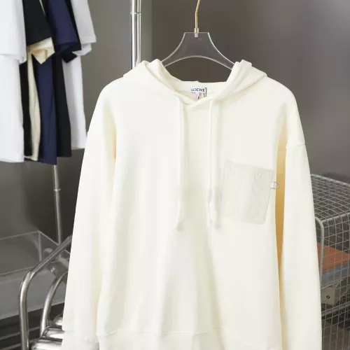 LOEWE Hoodies Long Sleeved For Unisex #1359891