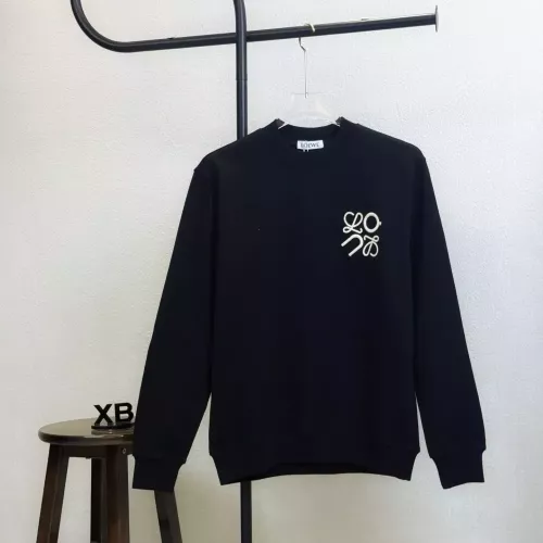 LOEWE Hoodies Long Sleeved For Unisex #1361104