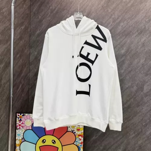 LOEWE Hoodies Long Sleeved For Unisex #1362263