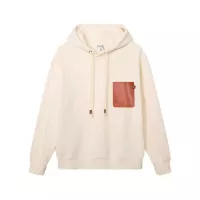 Cheap LOEWE Hoodies Long Sleeved For Unisex #1354866 Replica Wholesale [$60.00 USD] [ITEM#1354866] on Replica LOEWE Hoodies