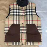 Cheap Burberry Down Feather Coat Sleeveless For Men #1359566 Replica Wholesale [$160.00 USD] [ITEM#1359566] on Replica Burberry Down Feather Coat