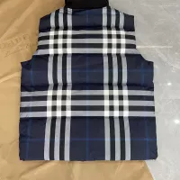 Cheap Burberry Down Feather Coat Sleeveless For Men #1359568 Replica Wholesale [$160.00 USD] [ITEM#1359568] on Replica Burberry Down Feather Coat