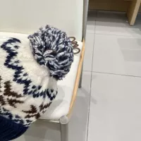 Cheap Moncler Caps #1360002 Replica Wholesale [$34.00 USD] [ITEM#1360002] on Replica Moncler Caps