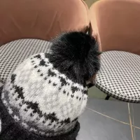 Cheap Prada Caps #1360234 Replica Wholesale [$38.00 USD] [ITEM#1360234] on Replica Prada Caps