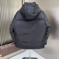 Cheap Louis Vuitton LV Down Feather Coat Long Sleeved For Men #1361428 Replica Wholesale [$202.00 USD] [ITEM#1361428] on Replica Louis Vuitton LV Down Feather Coat