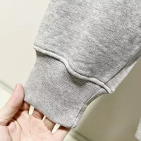 Cheap LOEWE Hoodies Long Sleeved For Unisex #1362268 Replica Wholesale [$52.00 USD] [ITEM#1362268] on Replica LOEWE Hoodies