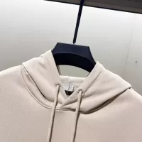 Cheap Christian Dior Hoodies Long Sleeved For Unisex #1362300 Replica Wholesale [$60.00 USD] [ITEM#1362300] on Replica Christian Dior Hoodies