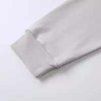 Cheap Balenciaga Hoodies Long Sleeved For Unisex #1362336 Replica Wholesale [$76.00 USD] [ITEM#1362336] on Replica Balenciaga Hoodies