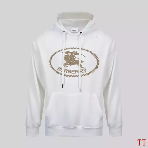 Burberry Hoodies Long Sleeved For Men #1365058