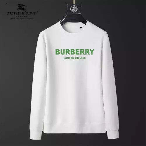 Burberry Hoodies Long Sleeved For Men #1369843