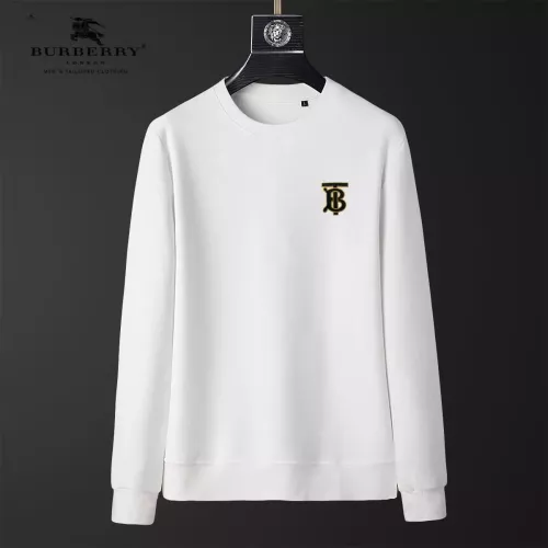 Burberry Hoodies Long Sleeved For Men #1369855