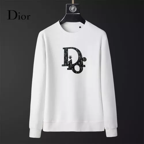 Christian Dior Hoodies Long Sleeved For Men #1370569