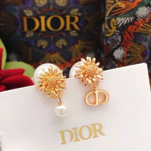 Christian Dior Earrings For Women #1372788