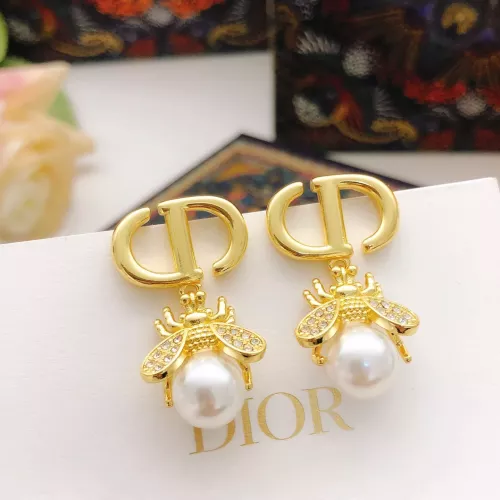 Christian Dior Earrings For Women #1372825