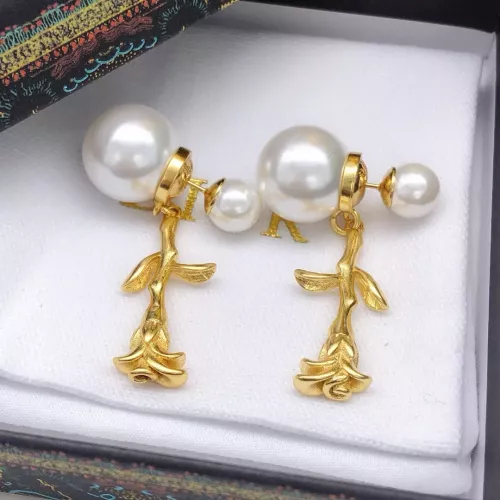 Christian Dior Earrings For Women #1372829