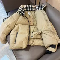 Cheap Burberry Down Feather Coat Long Sleeved For Unisex #1363758 Replica Wholesale [$225.00 USD] [ITEM#1363758] on Replica Burberry Down Feather Coat