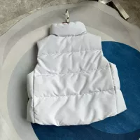 Cheap Canada Goose Down Feather Coat Sleeveless For Women #1364660 Replica Wholesale [$112.00 USD] [ITEM#1364660] on Replica Canada Goose Down Feather Coat