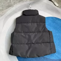 Cheap Canada Goose Down Feather Coat Sleeveless For Women #1364665 Replica Wholesale [$112.00 USD] [ITEM#1364665] on Replica Canada Goose Down Feather Coat
