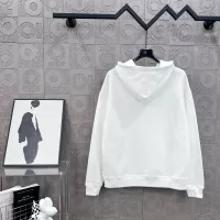 Cheap Celine Hoodies Long Sleeved For Unisex #1365421 Replica Wholesale [$76.00 USD] [ITEM#1365421] on Replica Celine Hoodies