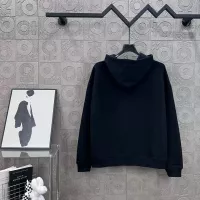 Cheap Celine Hoodies Long Sleeved For Unisex #1365422 Replica Wholesale [$76.00 USD] [ITEM#1365422] on Replica Celine Hoodies