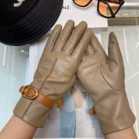 Cheap Celine Gloves For Women #1365800 Replica Wholesale [$48.00 USD] [ITEM#1365800] on Replica Celine Gloves