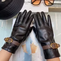 Cheap Celine Gloves For Women #1365801 Replica Wholesale [$48.00 USD] [ITEM#1365801] on Replica Celine Gloves