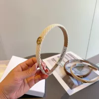 Cheap Christian Dior Headband For Women #1366084 Replica Wholesale [$27.00 USD] [ITEM#1366084] on Replica Christian Dior Headband
