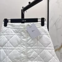 Cheap Christian Dior Skirts For Women #1366328 Replica Wholesale [$115.00 USD] [ITEM#1366328] on Replica Christian Dior Skirts