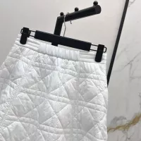 Cheap Christian Dior Skirts For Women #1366328 Replica Wholesale [$115.00 USD] [ITEM#1366328] on Replica Christian Dior Skirts