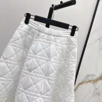 Cheap Christian Dior Skirts For Women #1366331 Replica Wholesale [$125.00 USD] [ITEM#1366331] on Replica Christian Dior Skirts