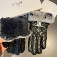 Cheap Celine Gloves For Women #1366464 Replica Wholesale [$52.00 USD] [ITEM#1366464] on Replica Celine Gloves